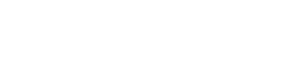 FAST & FURIOUS